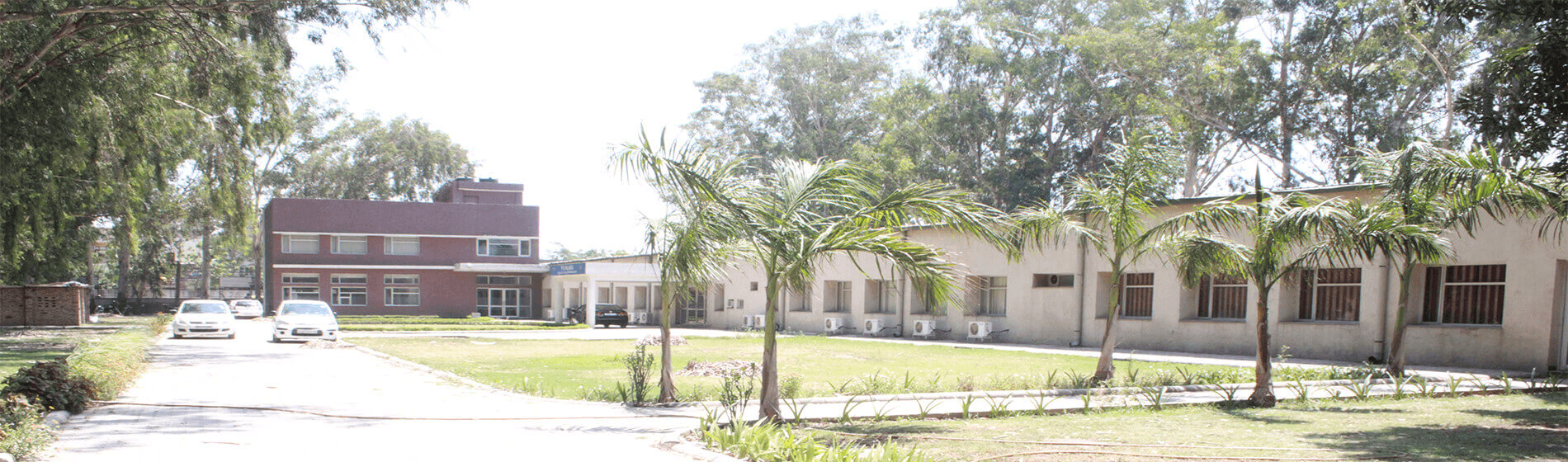 Mohali-I Campus